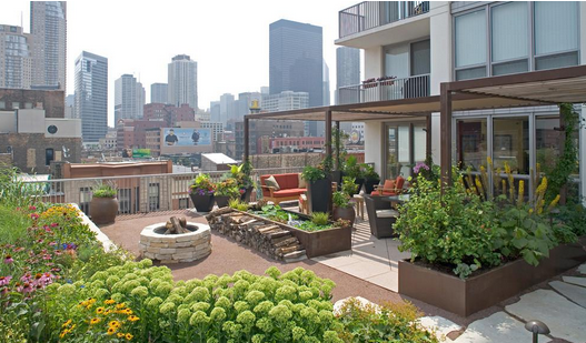 衡阳屋顶花园立体绿化奖励办法出台