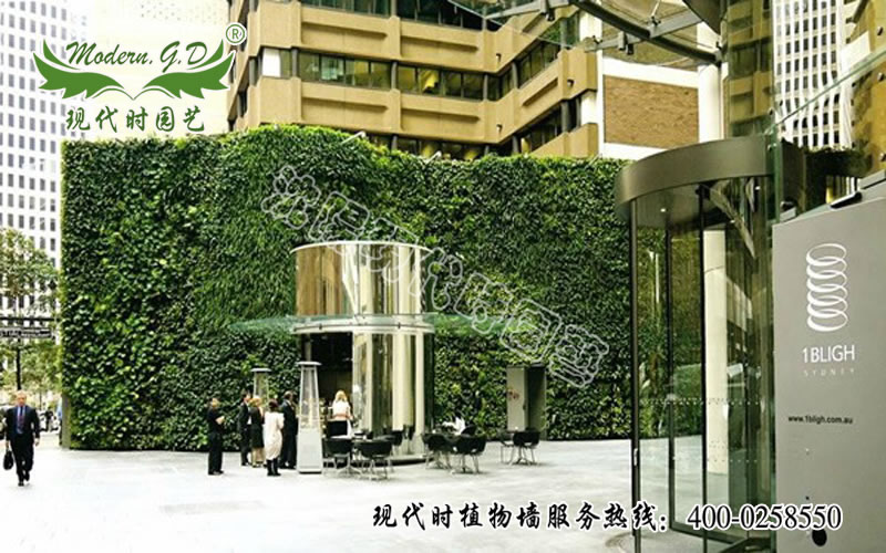 室外墙体绿化植物墙