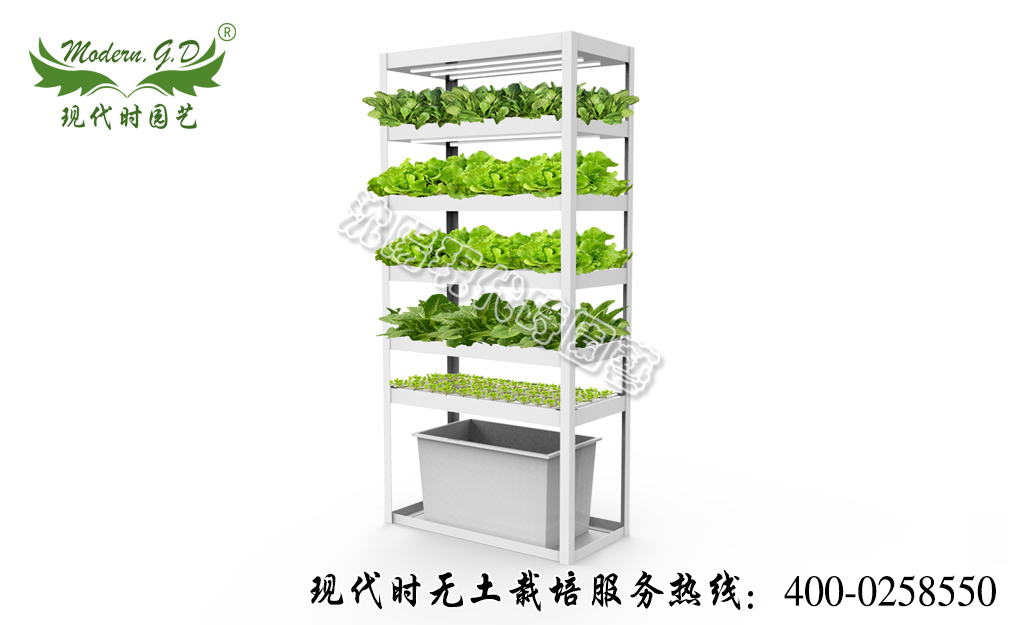智能蔬菜种植机—普通版 型号：N-31