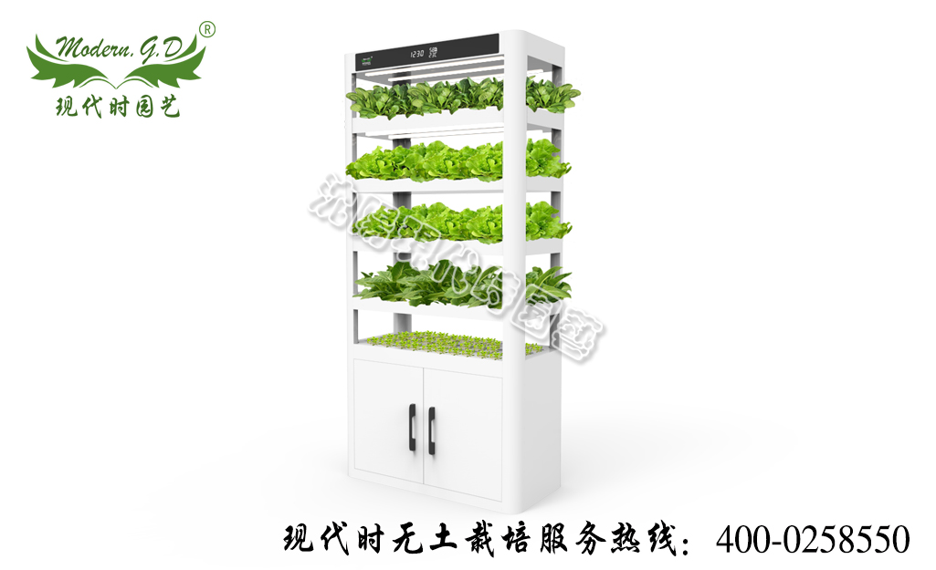 智能蔬菜种植机—智能版 型号：N-30